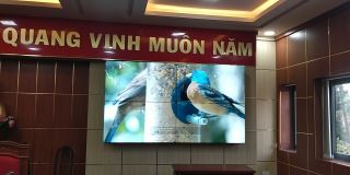 man hinh ghep jcvison 55 inch lcd 1.8mm ultra giai phap ho tro chay quang cao san pham va quang ba thuong hieu tai co.opmart sca tay ninh